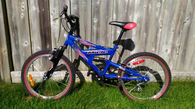 Miele 205 Youth Mountain Bike