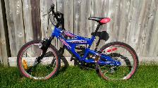 Miele 205 Youth Mountain Bike