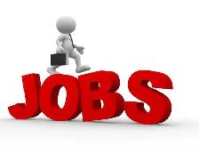 job hunting
