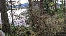Oceanfront 5  bedroom bungalow house on Departure Bay$3,900 - Photo 10