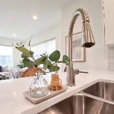 Beautiful 2br Senior- Friendly Suites - Photo 9