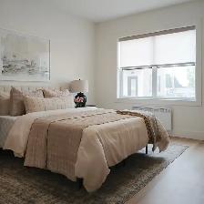 Beautiful 2br Senior- Friendly Suites - Photo 12