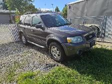 2006 Ford Escape XLT - Photo 2