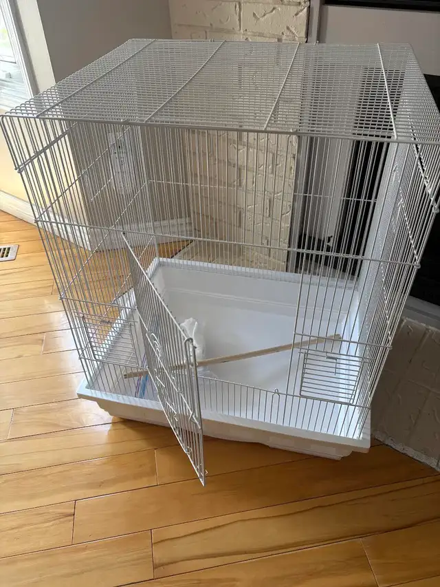 BIRD CAGE