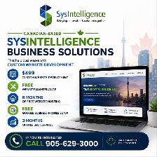 PROFESSIONAL WEBSITE - $499