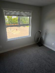 Single Roommate Wanted - Photo 4