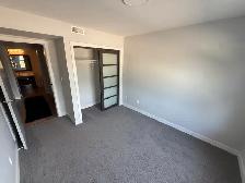 Single Roommate Wanted - Photo 5