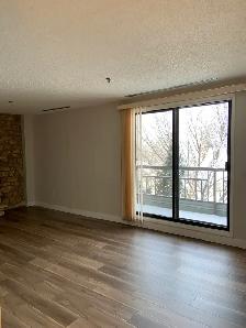 Spacious Refreshed Adult Only 2 Bedroom Suit - Photo 2
