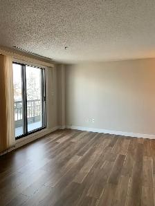 Spacious Refreshed Adult Only 2 Bedroom Suit - Photo 3