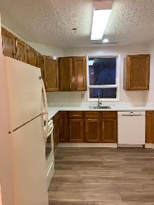 Spacious Refreshed Adult Only 2 Bedroom Suit - Photo 8
