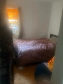 chambre à louer