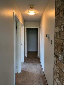 Spacious Newly Refreshed Adult Only 2 Bedroom Suite - Photo 5