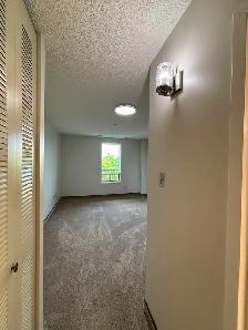 Spacious Newly Refreshed Adult Only 2 Bedroom Suite - Photo 6
