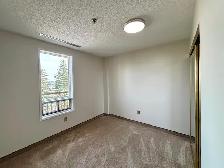Spacious Newly Refreshed Adult Only 2 Bedroom Suite - Photo 9