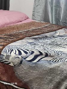 Chambre meublé A louer
