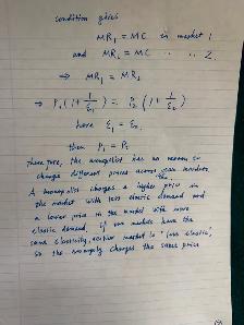 Best tutor for UA economics, statistics, calculus, math courses - Photo 8