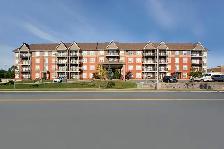 1 Bedroom   Den for Rent in Dartmouth! Baker Dr and Portland St - Photo 13
