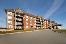 1 Bedroom   Den for Rent in Dartmouth! Baker Dr and Portland St - Photo 14