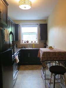 $1099Renovated Bachelor! - Photo 5
