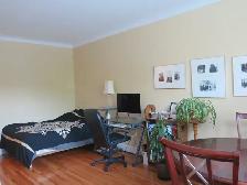 $1099Renovated Bachelor! - Photo 6