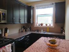 $1099Renovated Bachelor! - Photo 8