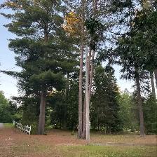 Beautiful 4 Seasons home/ cottage semi detached on Lake Kipawa - Photo 10