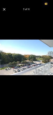 Amazing and Spacious Condo Unit - 1 Bedroom   Solarium - Photo 7