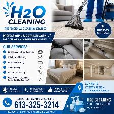 Professional Cleaning
