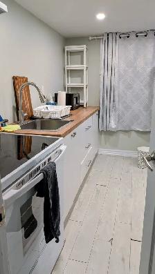 1 Bed 1 Bath Apartment - Photo 4
