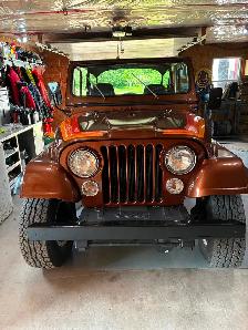 1985 Jeep CJ-7 Spring Edition - Photo 2