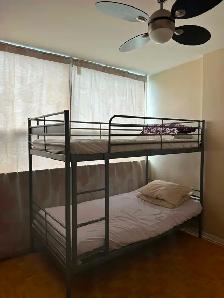 Room Rentals and Roommates