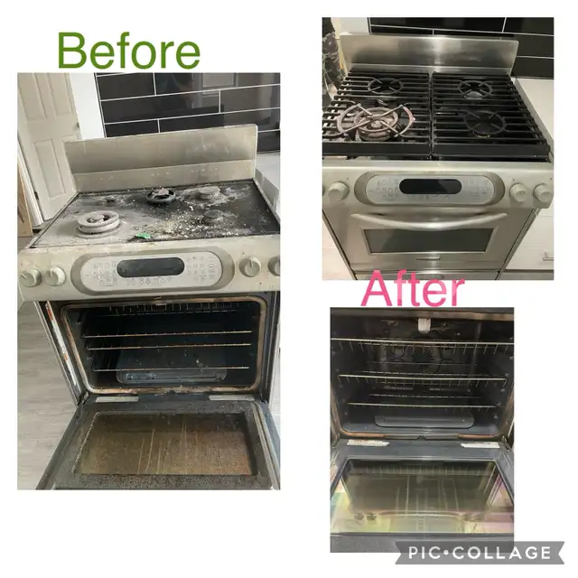 PROFESIONAL CLEANIG SERVICES