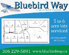 Bluebird Way rural residential - Photo 2