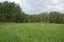 Bluebird Way rural residential - Photo 4