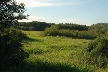 Bluebird Way rural residential - Photo 5