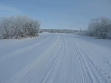 Bluebird Way rural residential - Photo 8