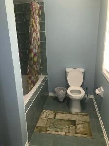 ONE PRIVATE ROOM RENT IS IN BRAMPTON - Photo 6