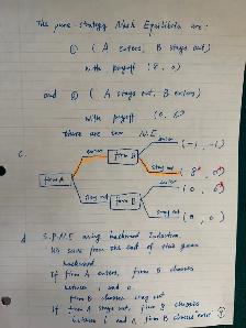 best Queen’s University Economics, Statistics & Calculus Tutor - Photo 2