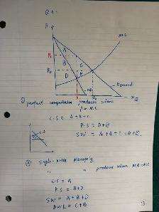 best Queen’s University Economics, Statistics & Calculus Tutor - Photo 4