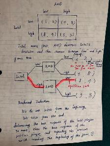 best Queen’s University Economics, Statistics & Calculus Tutor - Photo 6
