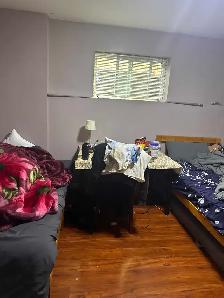1 Bedroom 1 Bath Basement for Rent