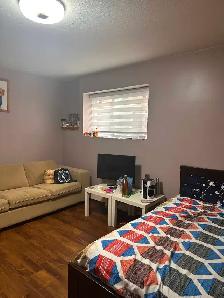 1 Bedroom 1 Bath Basement for Rent - Photo 5