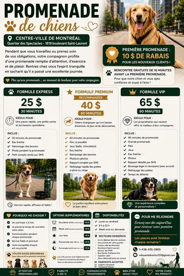PROMENADE DE CHIENS – CENTRE-VILLE DE MONTRÉAL