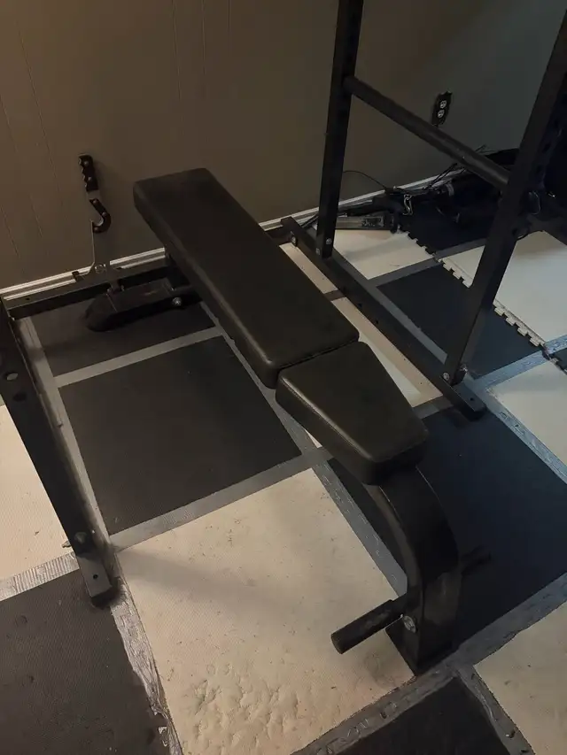 Exercise bench