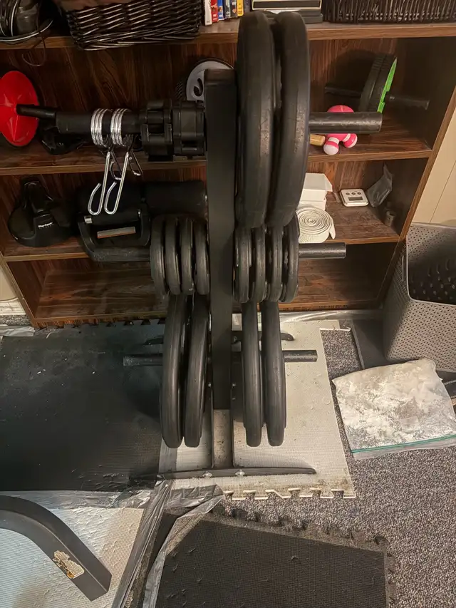 weight plates, barbell collars and stand