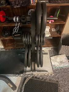 weight plates, barbell collars and stand
