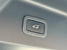 2019 Land Rover Range Rover HSE l TD6 l Diesel l Full Size l Nav - Photo 13