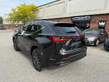 2025 Lexus NX NX 250 AWD - Photo 4