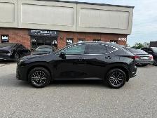 2025 Lexus NX NX 250 AWD - Photo 7