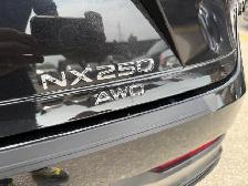 2025 Lexus NX NX 250 AWD - Photo 15